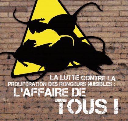 Lutte contre la prolifération des rongeurs nuisibles