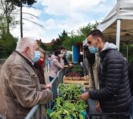 Sauvegarde 93 - Distribution de bons plants - Ville de Stains