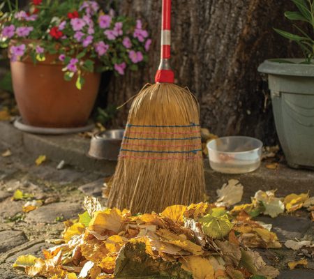 Sécurité - Le ramassage des feuilles - Ville de Stains